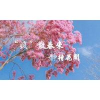 疫散終有時(shí)，春暖花自開(kāi)-科明致敬每一個(gè)認(rèn)真防疫的東莞人
